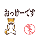 柴犬さよこ（デカ文字・敬語）（個別スタンプ：7）