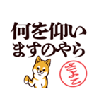 柴犬さよこ（デカ文字・敬語）（個別スタンプ：22）