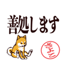 柴犬さよこ（デカ文字・敬語）（個別スタンプ：26）