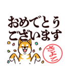 柴犬さよこ（デカ文字・敬語）（個別スタンプ：40）