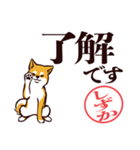 柴犬しずか（デカ文字・敬語）（個別スタンプ：1）