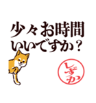 柴犬しずか（デカ文字・敬語）（個別スタンプ：2）