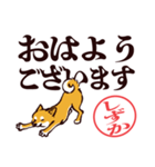 柴犬しずか（デカ文字・敬語）（個別スタンプ：9）