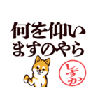 柴犬しずか（デカ文字・敬語）（個別スタンプ：22）