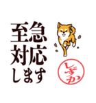 柴犬しずか（デカ文字・敬語）（個別スタンプ：23）