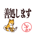 柴犬しずか（デカ文字・敬語）（個別スタンプ：26）