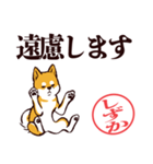 柴犬しずか（デカ文字・敬語）（個別スタンプ：29）