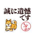 柴犬しずか（デカ文字・敬語）（個別スタンプ：38）