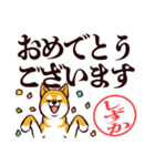 柴犬しずか（デカ文字・敬語）（個別スタンプ：40）