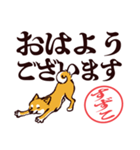 柴犬すずこ（デカ文字・敬語）（個別スタンプ：9）