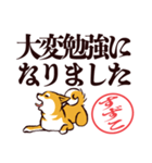 柴犬すずこ（デカ文字・敬語）（個別スタンプ：21）