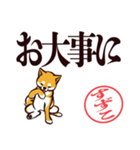 柴犬すずこ（デカ文字・敬語）（個別スタンプ：28）