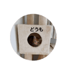子猫のリタ君のスタンプ2（個別スタンプ：18）