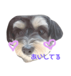 ぽにょちゃんの日常（個別スタンプ：8）