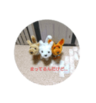 ほのぼのチワワ、ときどきコーギー（個別スタンプ：6）
