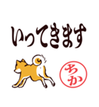 柴犬ちか（デカ文字・敬語）（個別スタンプ：12）