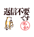 柴犬ちか（デカ文字・敬語）（個別スタンプ：14）