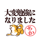 柴犬ちか（デカ文字・敬語）（個別スタンプ：21）