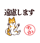 柴犬ちか（デカ文字・敬語）（個別スタンプ：29）