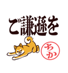 柴犬ちか（デカ文字・敬語）（個別スタンプ：33）