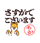 柴犬ちか（デカ文字・敬語）（個別スタンプ：35）