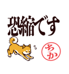 柴犬ちか（デカ文字・敬語）（個別スタンプ：39）