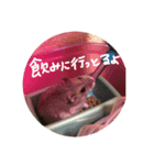 おみつ、喋る（個別スタンプ：2）