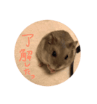 おみつ、喋る（個別スタンプ：3）