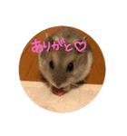 おみつ、喋る（個別スタンプ：4）
