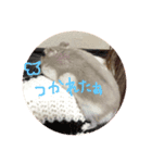 おみつ、喋る（個別スタンプ：8）