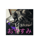 柏木Family（個別スタンプ：3）