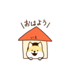 まろまろさん（個別スタンプ：1）