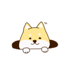 まろまろさん（個別スタンプ：10）