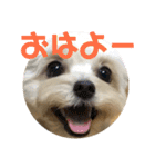 リッツちゃんスタンプ①（個別スタンプ：1）
