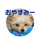 リッツちゃんスタンプ①（個別スタンプ：2）