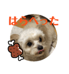 リッツちゃんスタンプ①（個別スタンプ：4）