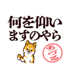 柴犬ちづる（デカ文字・敬語）（個別スタンプ：22）