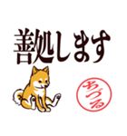 柴犬ちづる（デカ文字・敬語）（個別スタンプ：26）