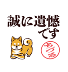 柴犬ちづる（デカ文字・敬語）（個別スタンプ：38）