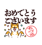 柴犬ちづる（デカ文字・敬語）（個別スタンプ：40）