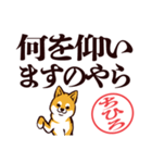 柴犬ちひろ（デカ文字・敬語）（個別スタンプ：22）