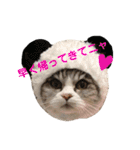 仲良し3匹の猫スタンプ（個別スタンプ：6）