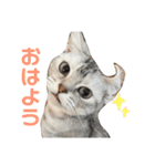 うちの雪ちゃん（個別スタンプ：13）