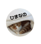 もっちーのスタンプ2（個別スタンプ：14）