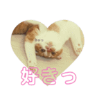 もっちーのスタンプ2（個別スタンプ：15）