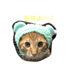虎之助のすたんぷ（個別スタンプ：5）
