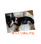 ちわっくす シュカ楽しい毎日にしたいな（個別スタンプ：9）