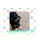 ちわっくす シュカ楽しい毎日にしたいな（個別スタンプ：22）