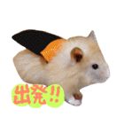はむとむあげ①（個別スタンプ：21）