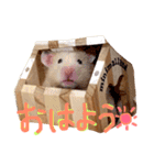はむとむあげ①（個別スタンプ：26）